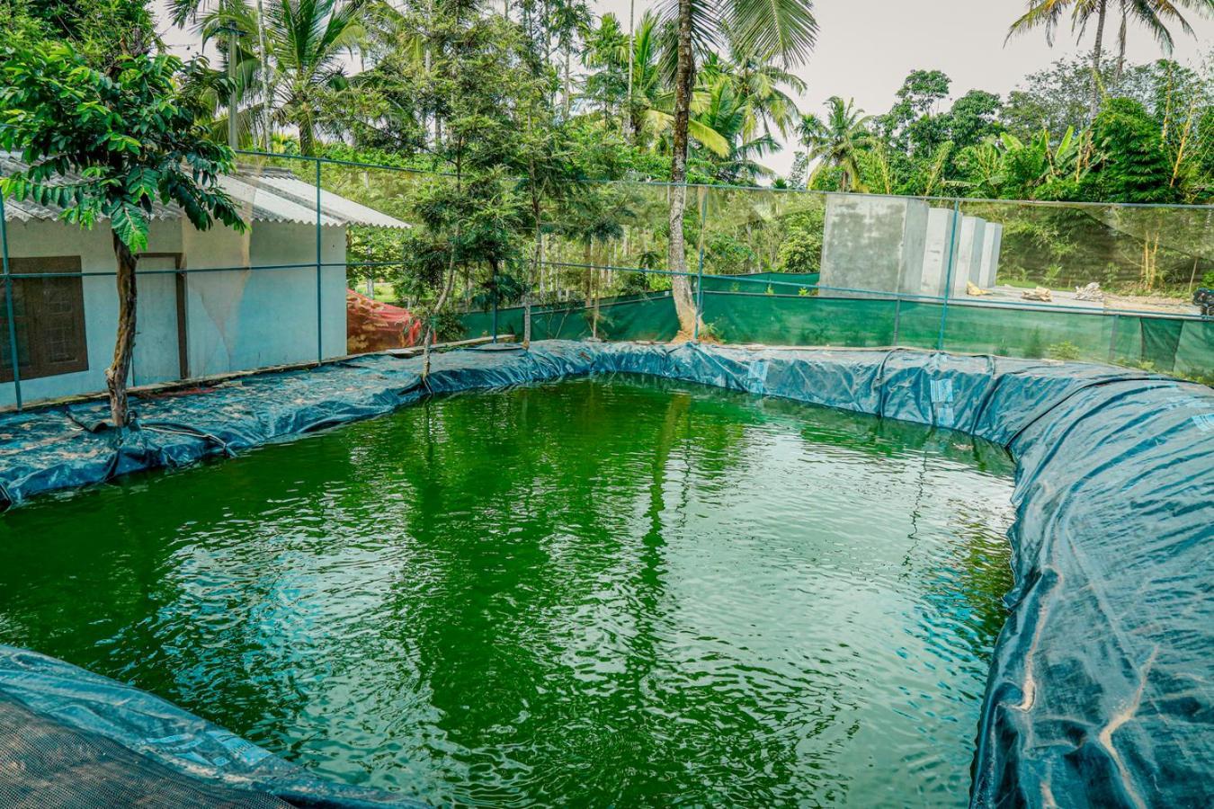 Green Auro By Bob Hotels Wayanad Dış mekan fotoğraf